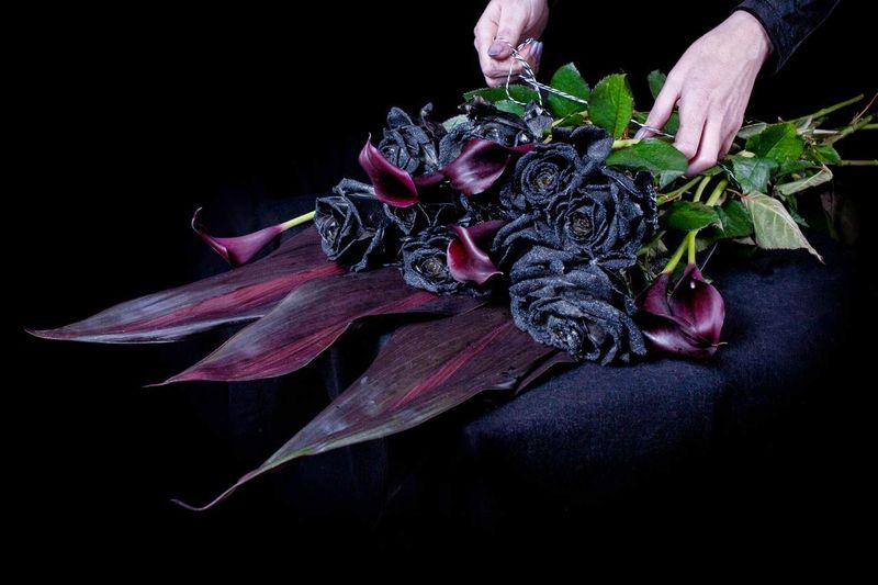 The Black Rose Phenomenon
