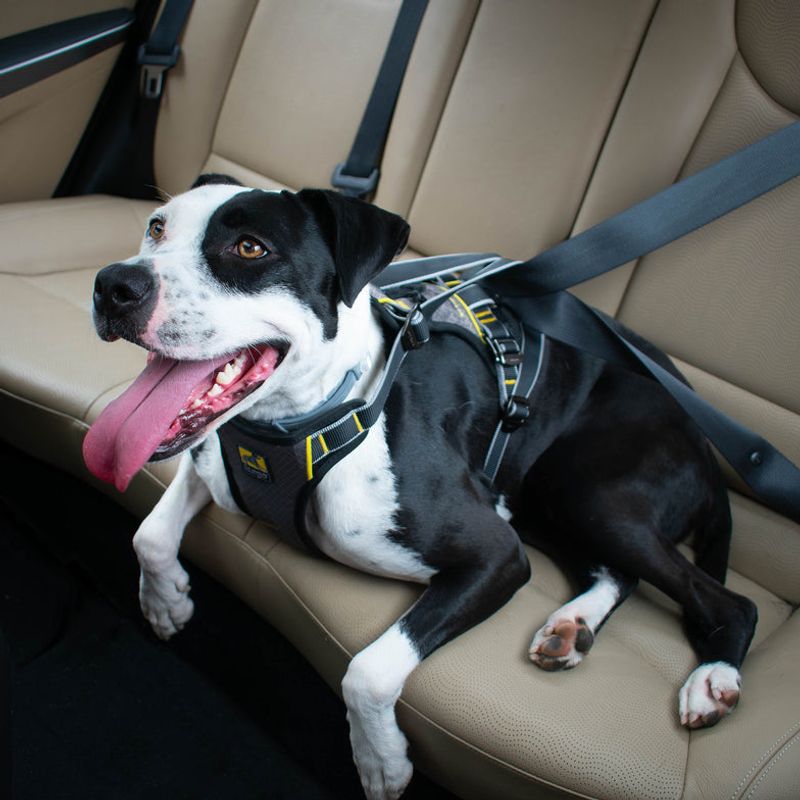 Crash-Tested Car Harness