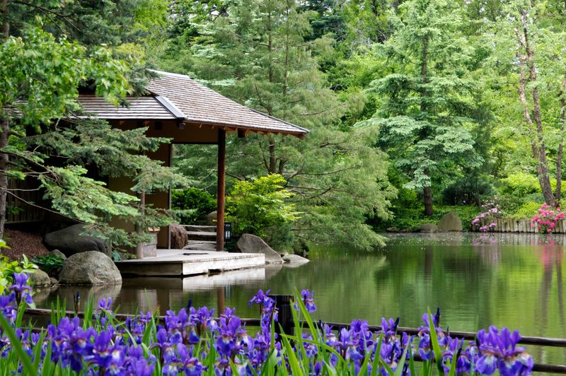 Rockford, Illinois - Japanese Gardens and Rock River Beauty