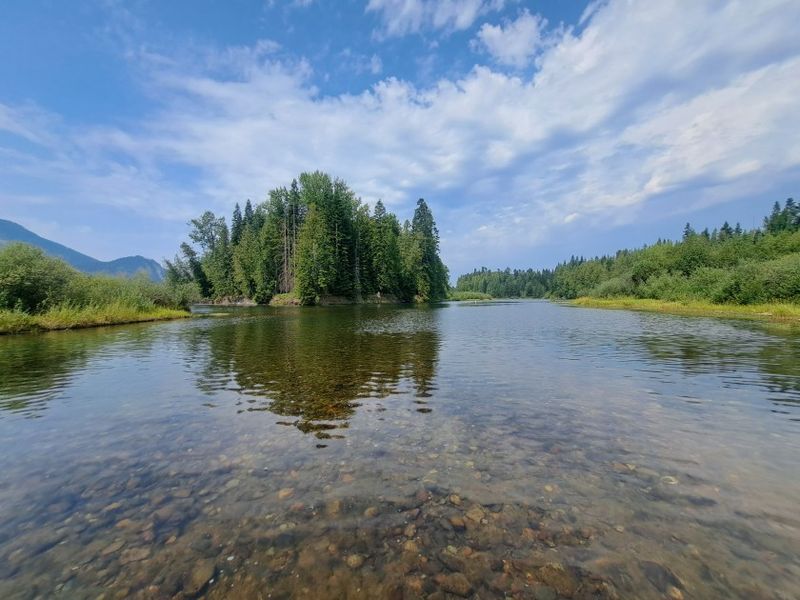 Clark Fork River Delta (Quiet Wetlands Paddle)