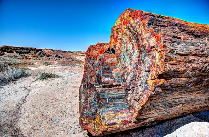 Time Capsules from the Triassic