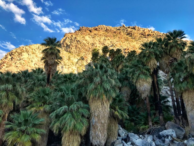 Hidden Nature & Trails Nearby