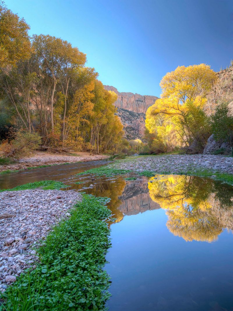 Four Seasons Transform the Landscape