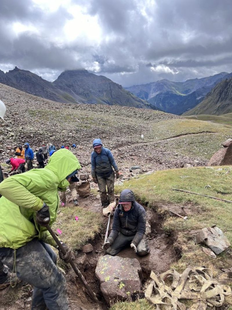 Conservation Efforts Preserving the Peaks