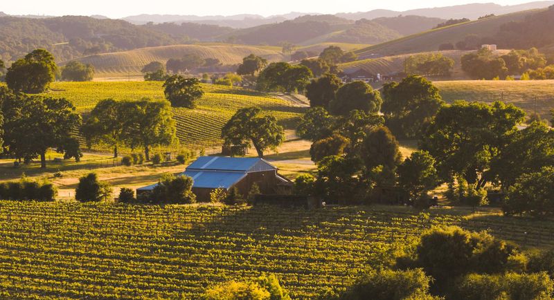 Templeton (Paso Robles area, SLO County)