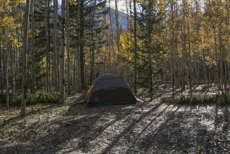 Rustic Riverside Camping