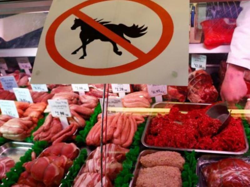 Horse Meat