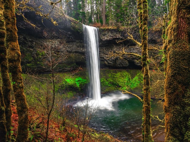 Silver Falls State Park, Oregon