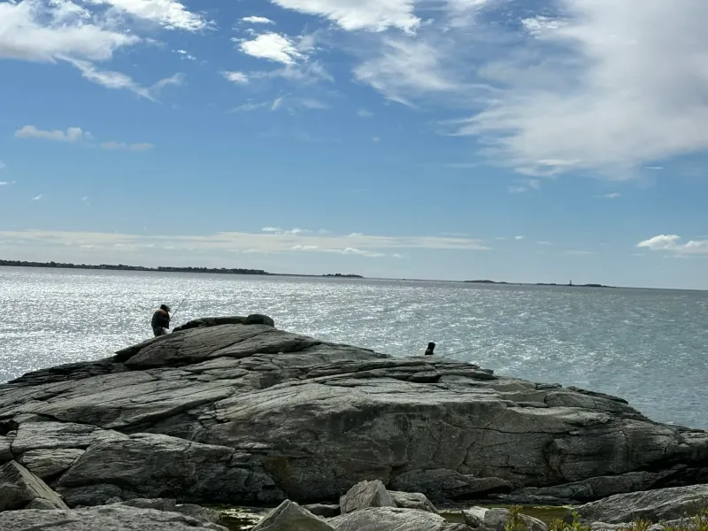 Sachuest Point Refuge, Middletown