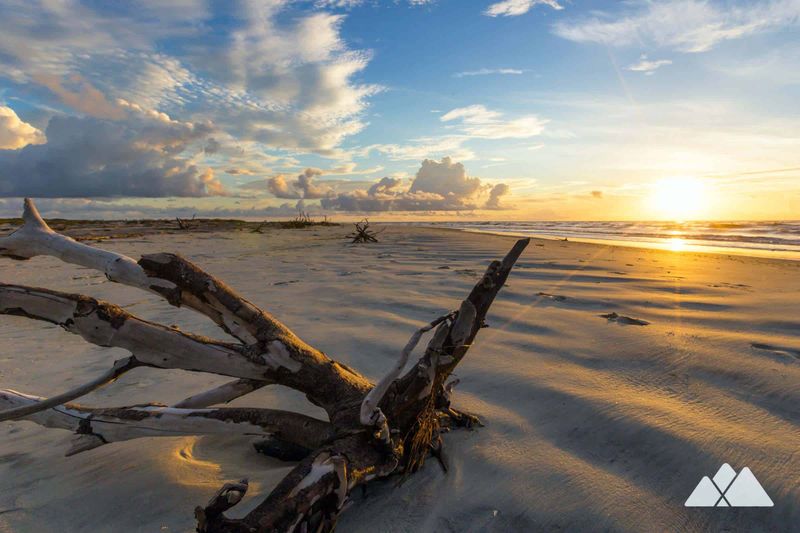 Little St. Simons Island (day trip by boat)