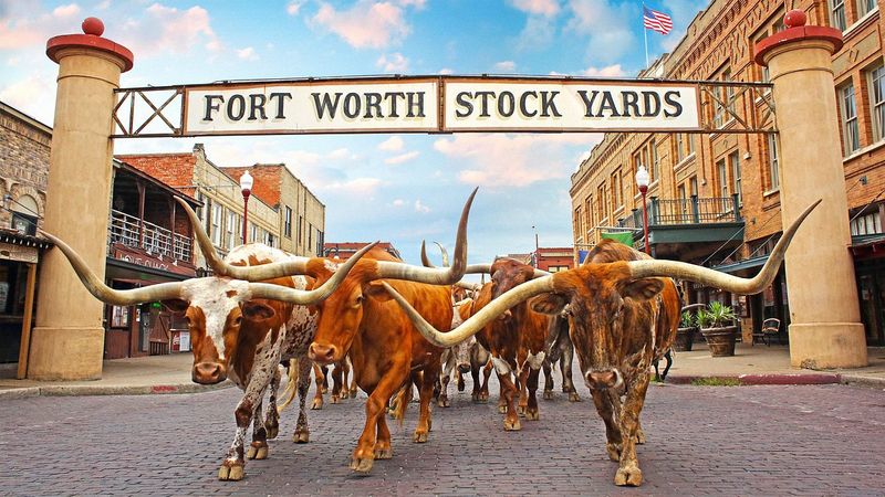 Fort Worth Stockyards (≈40–50 min)