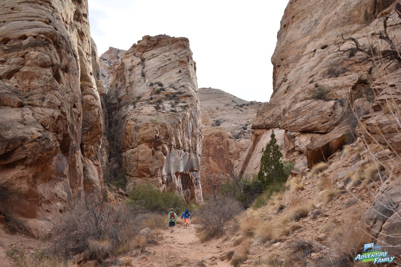 Capitol Gorge to Pioneer Register — Historic Inscriptions in Towering Gorge