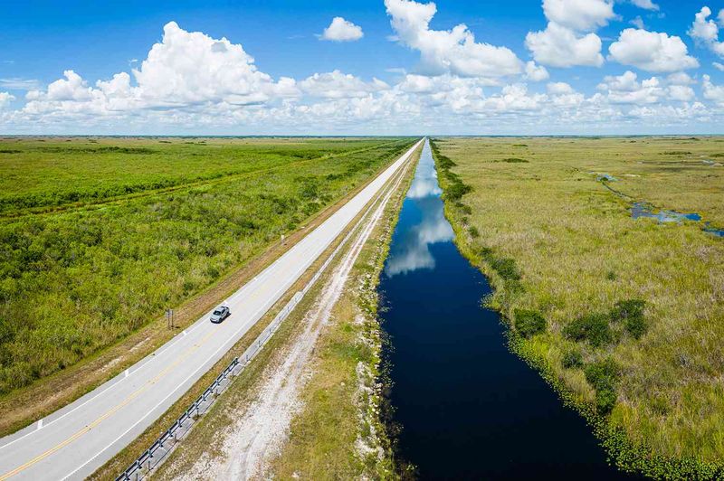 Tamiami Trail Through the Everglades - River of Grass Journey