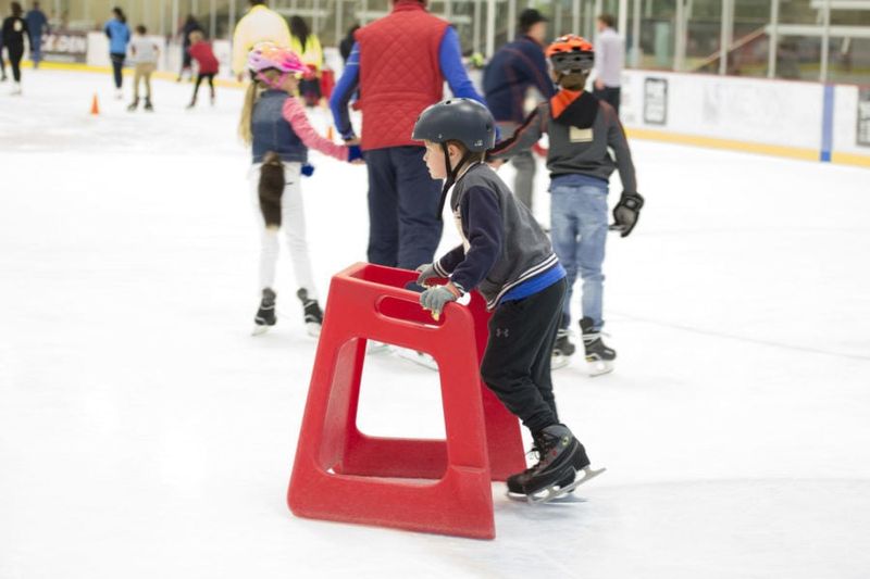Ice Den Scottsdale (Public Skate)