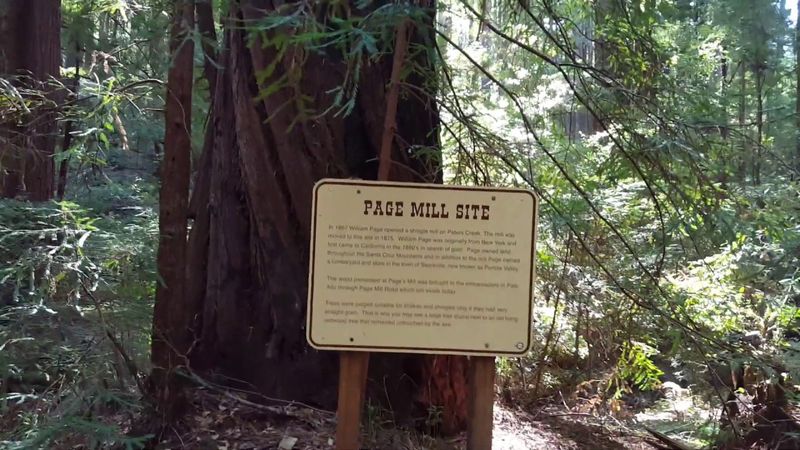 Portola Redwoods State Park
