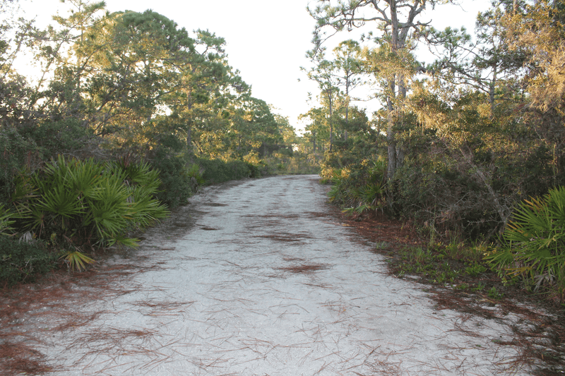 Wander Through Ann & Chuck Dever Regional Park's Hidden Trail Network