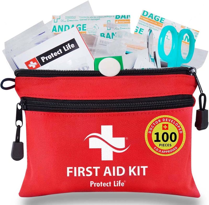 Protect Life 100-Piece Small First Aid Kit — Best Budget Travel Kit