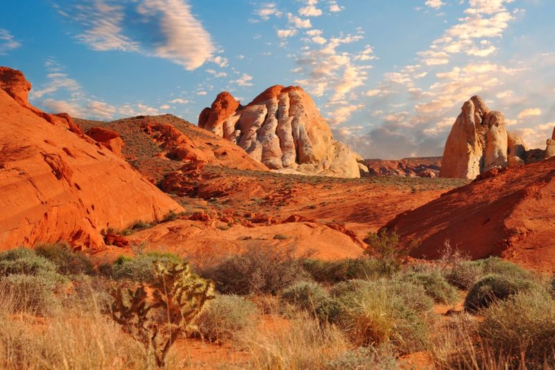 Day Trip to Valley of Fire State Park
