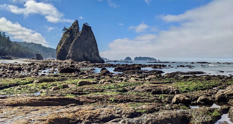 Rialto Beach Picnic Area