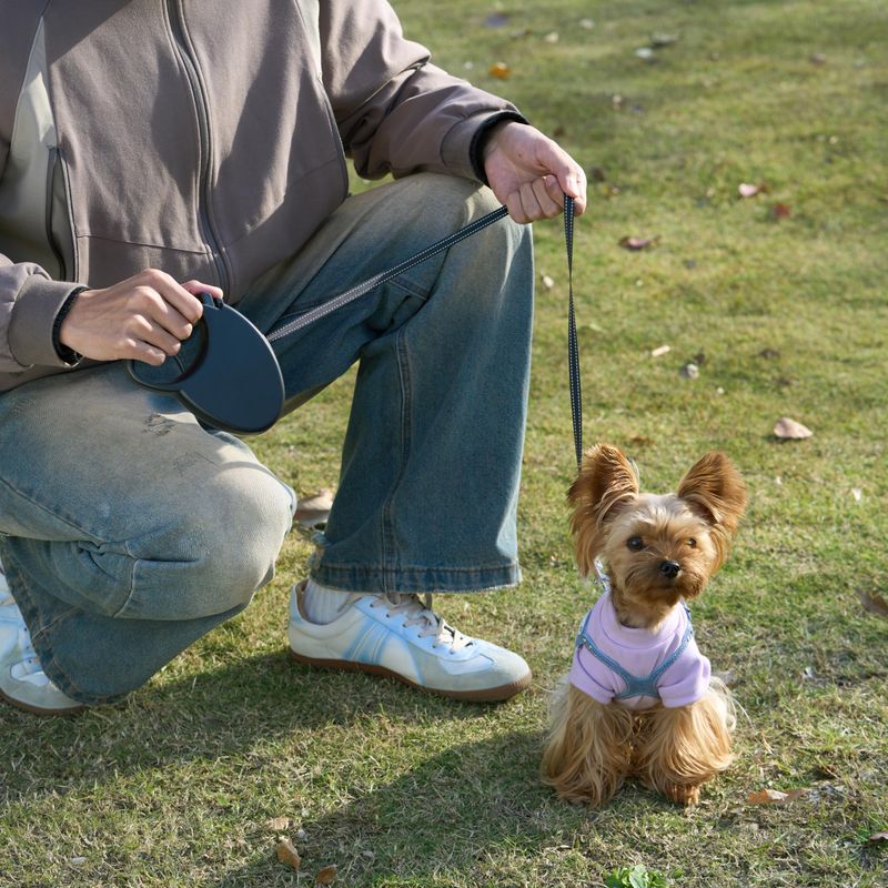 Retractable Travel Leash