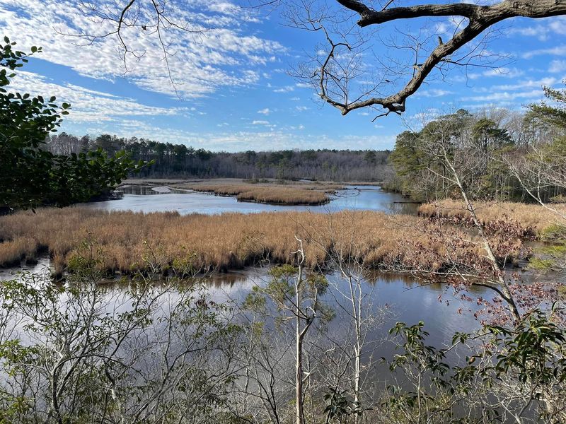 Great Wicomico River (Virginia)