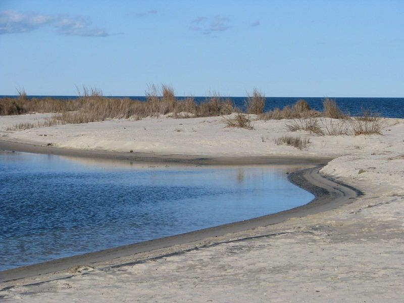 Bethel Beach Natural Area Preserve — Mathews County