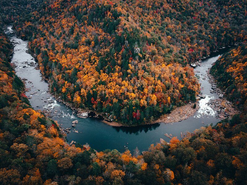 Carnifex Ferry Battlefield Overlooks — Gauley River Canyon