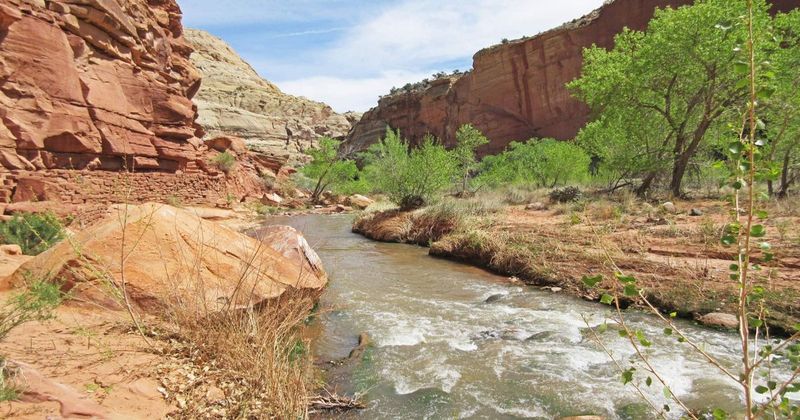 Fremont River Trail to First Overlook — Riverside Beauty to Panoramic Payoff