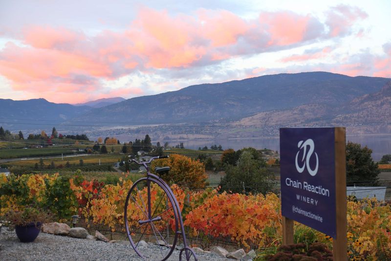 Chain Reaction Winery
