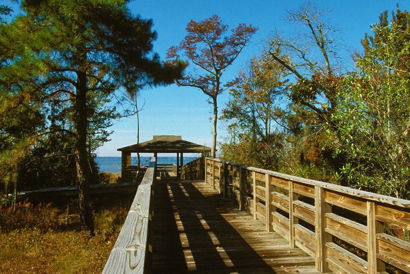 Lake Waccamaw