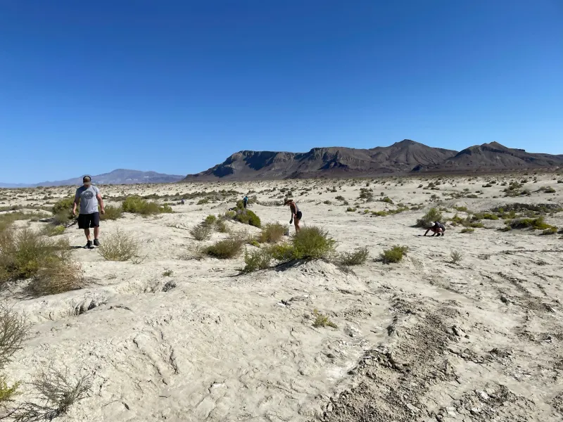 Wildlife, Rockhounding & Outdoor Adventure