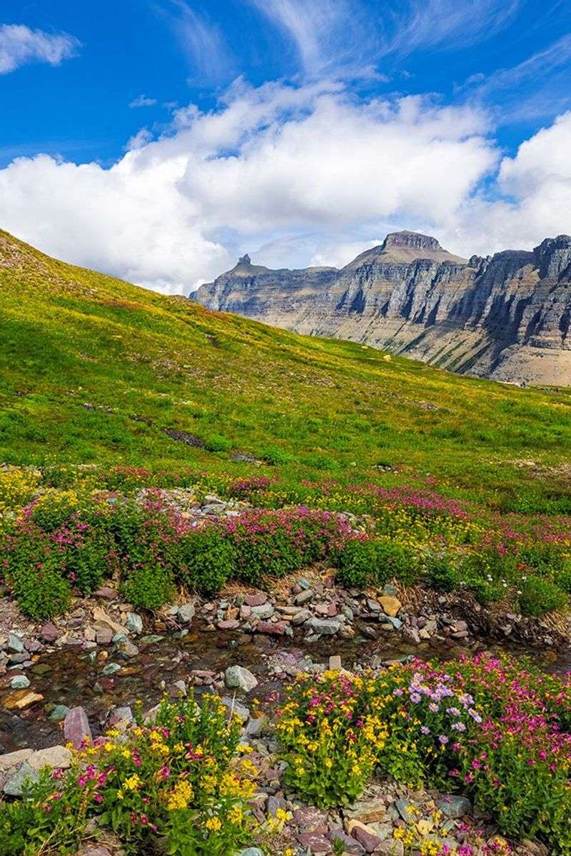 Logan Pass