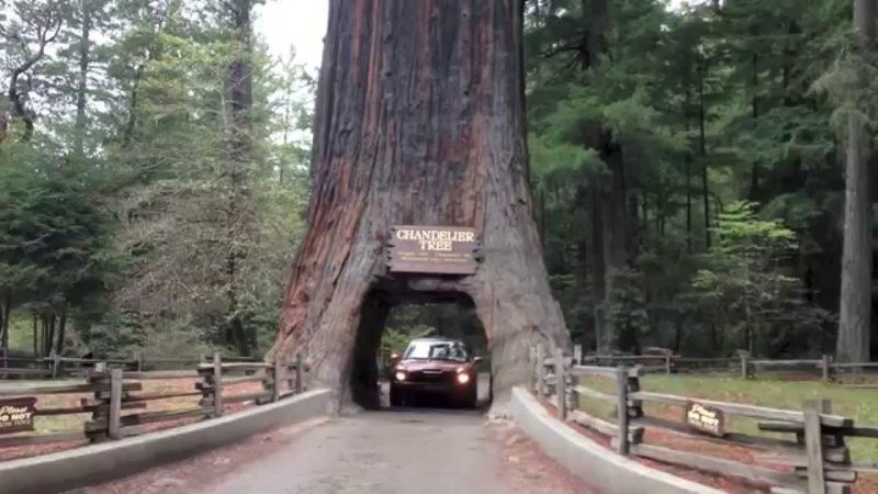 Tips for Visiting & Exploring