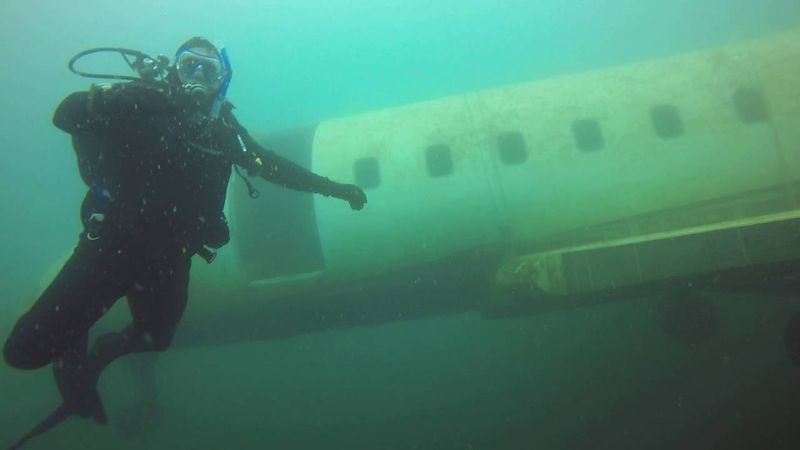 Diverse Underwater Attractions