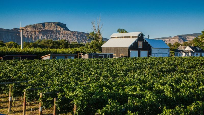 Nearby Wineries & Small-Town Charm 🍷