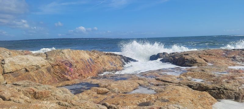 Whale Rock Trail Cove, Narragansett
