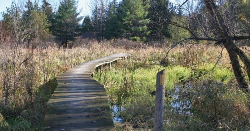 Kettle Moraine State Forest, WI (2 hours)
