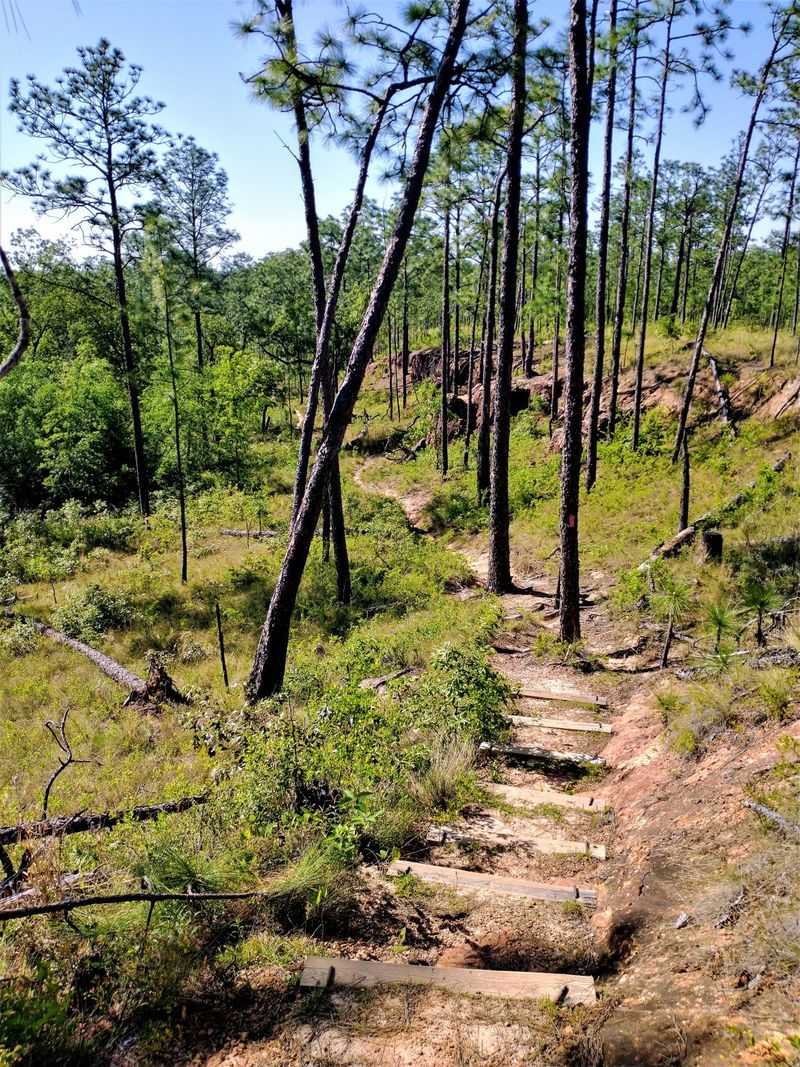 Challenging Hiking Trails With Elevation Changes