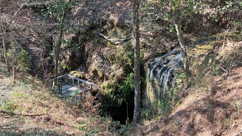 Falling Waters State Park's Unique Sinkholes