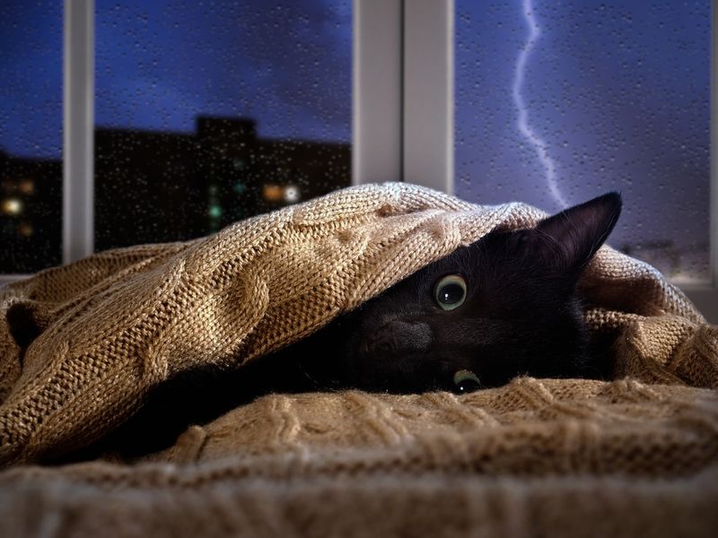 Noise Can Be Their Nemesis