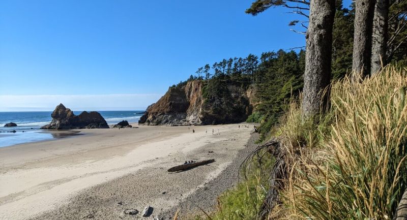 Arcadia Beach Tidepool Stroll