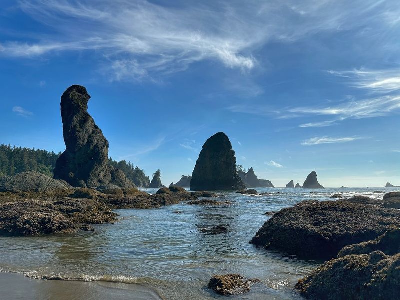 Shi Shi Beach, Washington