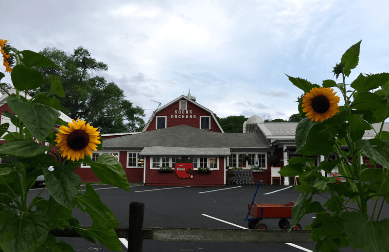 Soons Orchards — New Hampton (Orange)