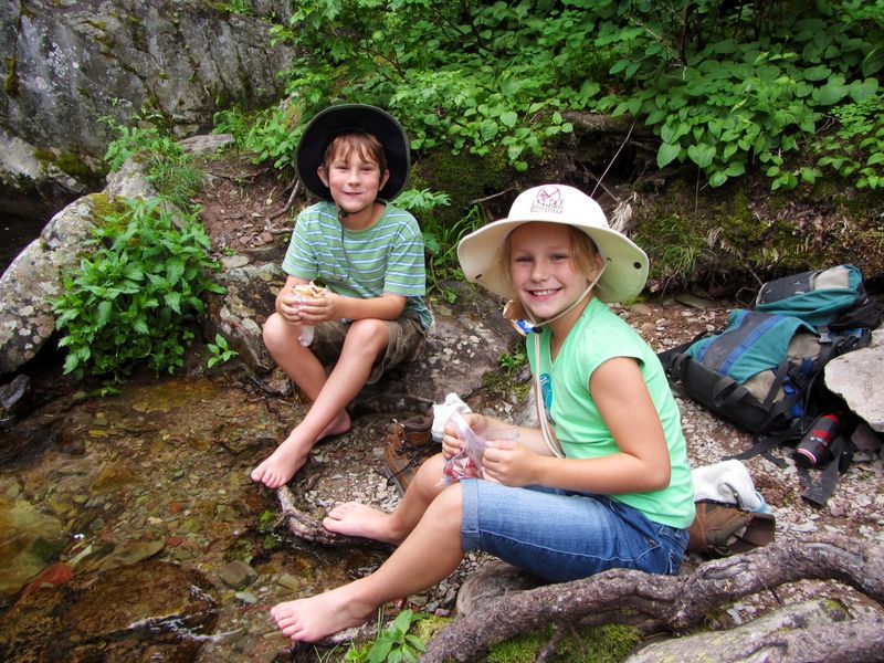 Portable Hand Pies for Trail Adventures