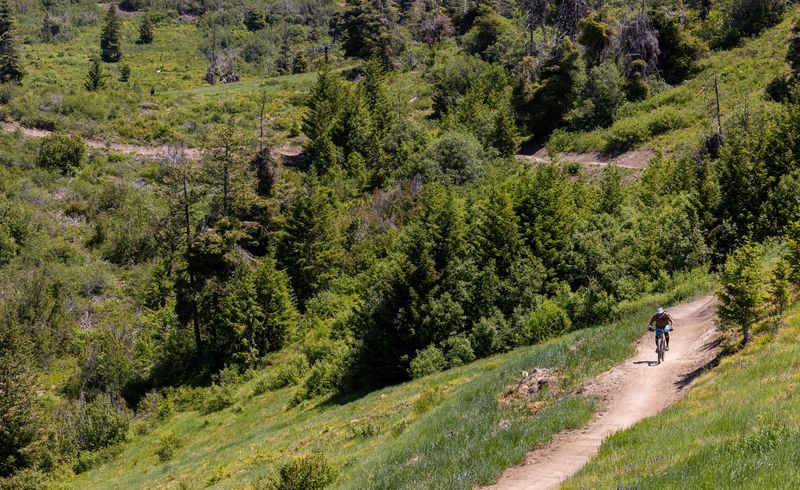 Trail Paradise Under Summer Skies