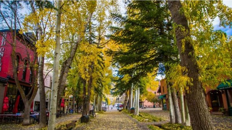 Fall Festivals and Town Celebrations