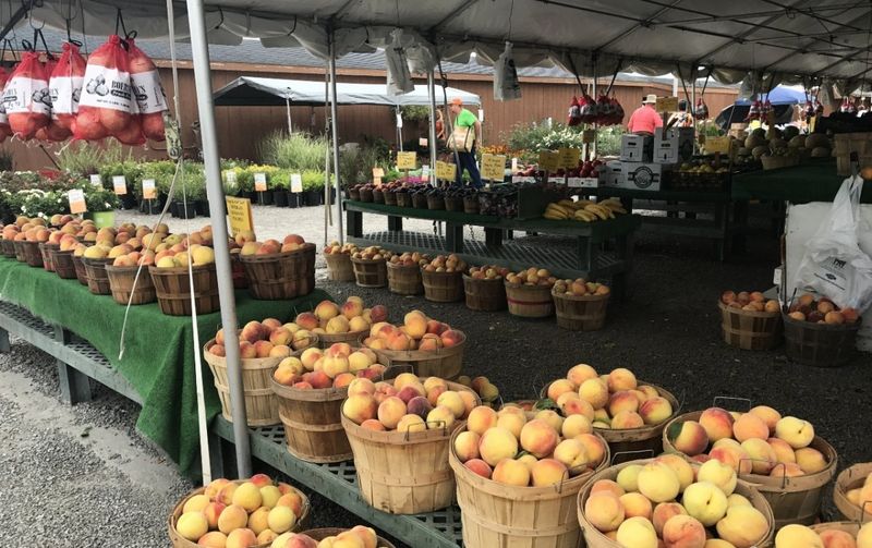 Countryside Produce Farmstand