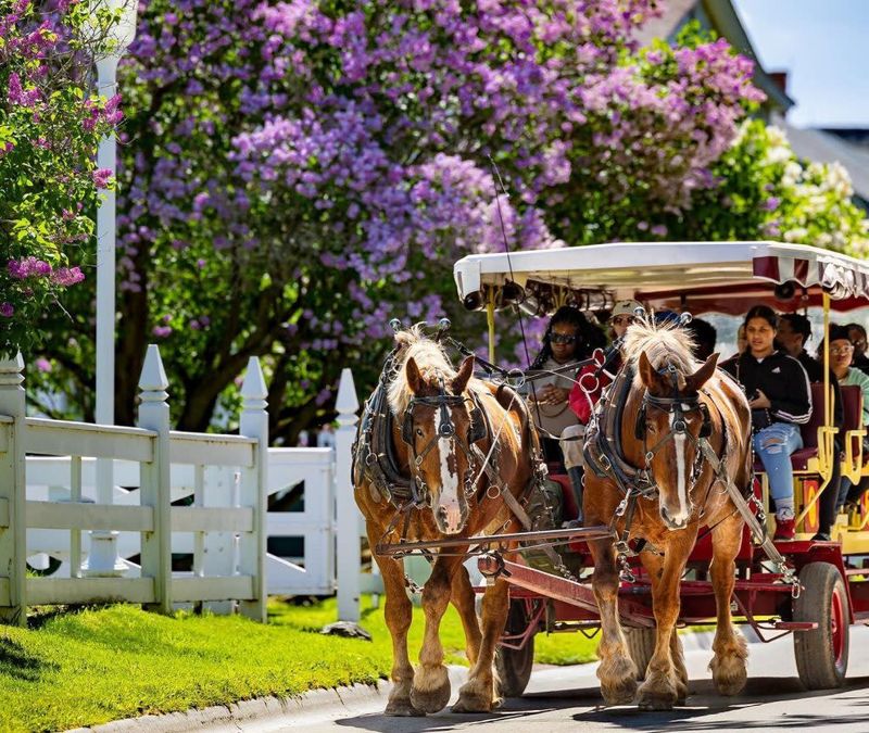 Seasonal Celebrations and Timeless Traditions