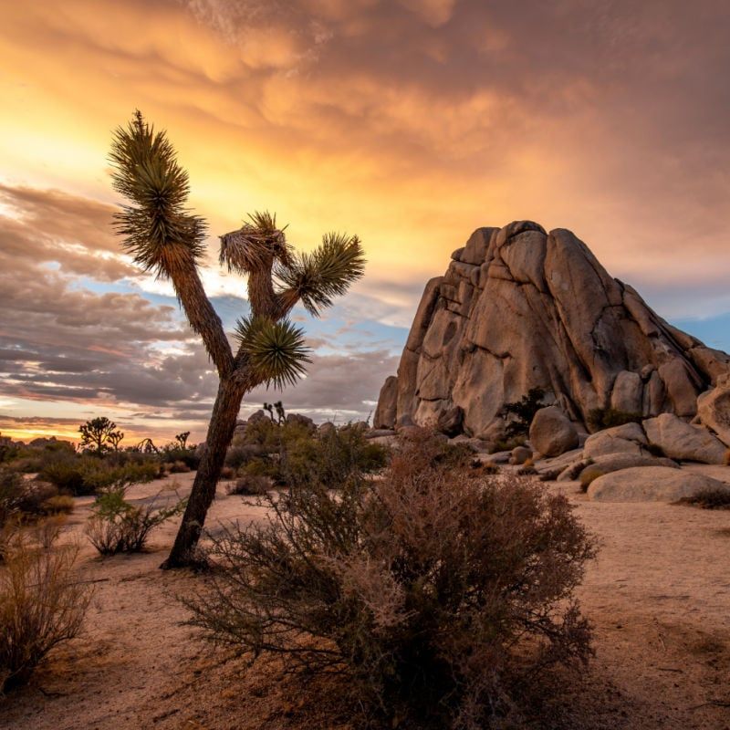 Otherworldly Landscapes Captivate Photographers