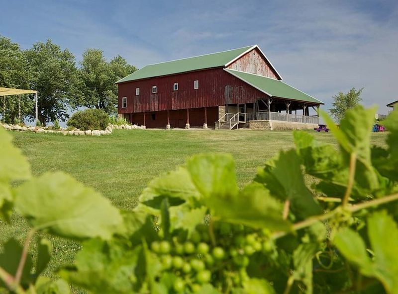 Bluff Lake Catfish Farm